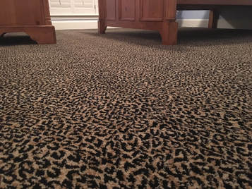 This is a picture of carpet cleaning.